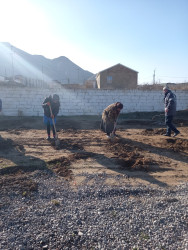 Korgöz qəsəbəsində Heydər Əliyevin 100 illiyinə həsr olunmuş ağacəkilməsinə hazırlıq işləri davam edir