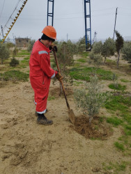 Ə.Əmirov adına NQÇİ Qaradağ Rayon İcra Hakimiyyətinin təşəbbüsü ilə keçirilən ümumrayon iməcliyinə qoşuldu