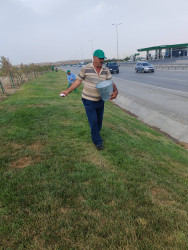Qaradağ rayonunda yaşıllaşdırma işləri çərçivəsində yeni gübrələmə tədbirləri aparılır