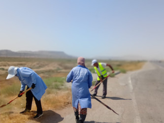 Qobustan qəsəbəsində yol kənarında alaqlardan təmizlənmə işləri aparılır