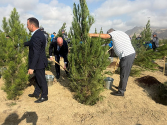 Qaradağ rayonunda 27 Sentyabr – Anım Gününə həsr olunmuş ağacəkmə aksiyası keçirilib