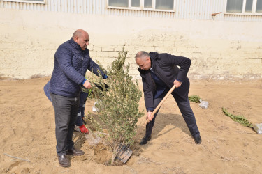 Ulu Öndər Heydər Əliyevin 100 illiyinə həsr olunmuş ağacəkilmə aksiyası davam edir