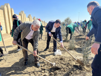 Ulu Öndər Heydər Əliyevin 100 illiyinə həsr olunmuş ağacəkilmə aksiyası davam edir