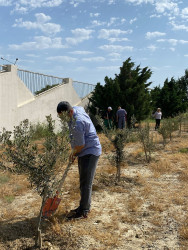 Qaradağ Şüşə Zavodu Ulu Öndər Heydər Əliyevin anadan olmasının 100-cü ildönümü ilə bağlı Qaradağ Rayon İcra Hakimiyyətinin təşəbbüsü ilə keçirilən ümumrayon iməcliyə qoşuldu