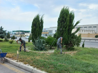 SOCAR YDM Qaradağ Rayon İcra Hakimiyyətinin təşəbbüsü ilə keçirilən iməcliyə qoşuldu