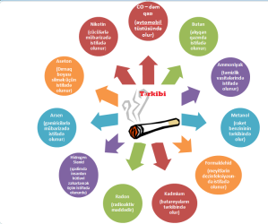 Tütün Sizin sağlamlığınıza mənfi təsir edir.