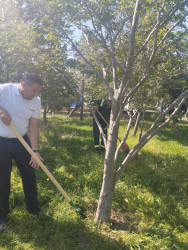 Qaradağ rayonunda keçirilən ümumrayon İməcliyində Ə.Əmirov adına Neft Qazçıxarma İdarəsinin (NQÇİ) kollektivi də yüksək fəallıq göstərib