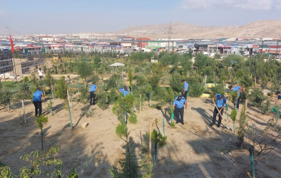 Sədərək Ticarət Mərkəzi Qaradağ Rayon İcra Hakimiyyətinin təşəbbüsü ilə keçirilən ümumrayon iməcliyinə qoşuldu