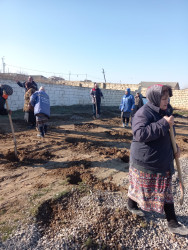 Korgöz qəsəbəsində ağacəkilməsinə hazırlıq işləri davam edir