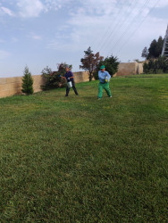 Qaradağda yaşıllaşdırma və ekoloji tədbirlər ardıcıl şəkildə davam etdirilir