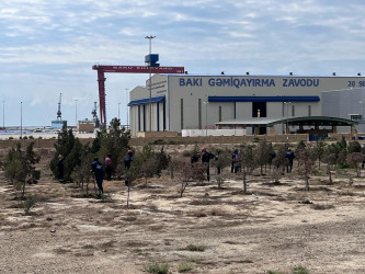 Bakı Gəmiqayırma Zavodu Ulu Öndər Heydər Əliyevin anadan olmasının 100-cü ildönümü ərəfəsində iməcilik keçirilib