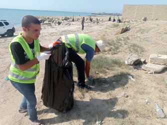 Qaradağ rayonunda təmizlik aksiyası keçirilmişdir