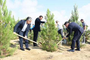Qaradağ rayonunda 27 Sentyabr – Anım Gününə həsr olunmuş ağacəkmə aksiyası keçirilib
