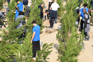 Qaradağ rayonunda 27 Sentyabr – Anım Gününə həsr olunmuş ağacəkmə aksiyası keçirilib
