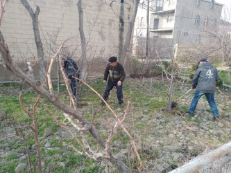 Qaradağ Rayon İstilik İdarəsi Ulu Öndər Heydər Əliyevin anadan olmasının 100-cü ildönümü ərəfəsində iməcilik keçirilib