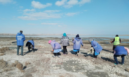 Qaradağ rayonunda təmizlik işləri davam etdrilir