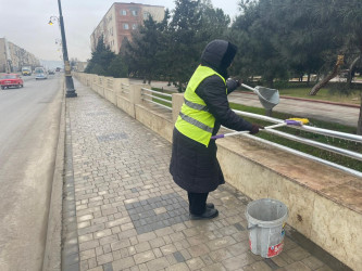 Qaradağ rayonunda təmizlik işləri görülür