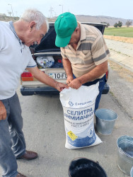 Qaradağda yaşıllaşdırma işləri davam edir