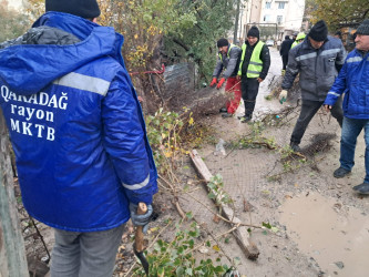 Qaradağ rayonu Sahil qəsəbəsində təmizlik işləri aparılmışdır