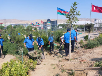 Sədərək TM-nin kollektivi Qaradağ Rayon İcra Hakimiyyətinin təşəbbüsü ilə keçirilən iməcliyə qoşuldu