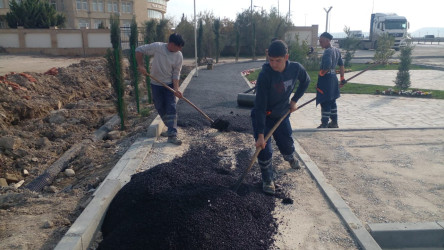 Qobustan qəsəbəsi: Gələcəyə addım atan yaşıl inkisaf