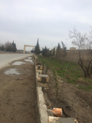 Qobustan qəsəbəsinin Salyan yolu kücəsində yol kənarında hal-hazırda park tikintisi davam etdirilir.