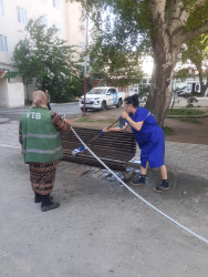 Bakı Şəhər İcra Hakimiyyətinin təşəbbüsü ilə Qaradağ rayonunun Sahil qəsəbəsində  iməcilik keçirilmişdir. 